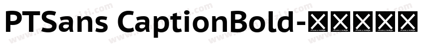 PTSans CaptionBold字体转换